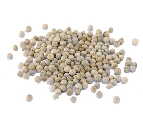 Poivre Blanc Grains – Compagnie Indépendante des Épices